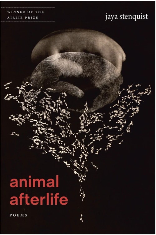 Jaya Stenquist/Animal Afterlife