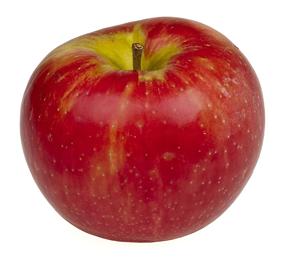 Malus domestica Honeycrisp™ (Apple)