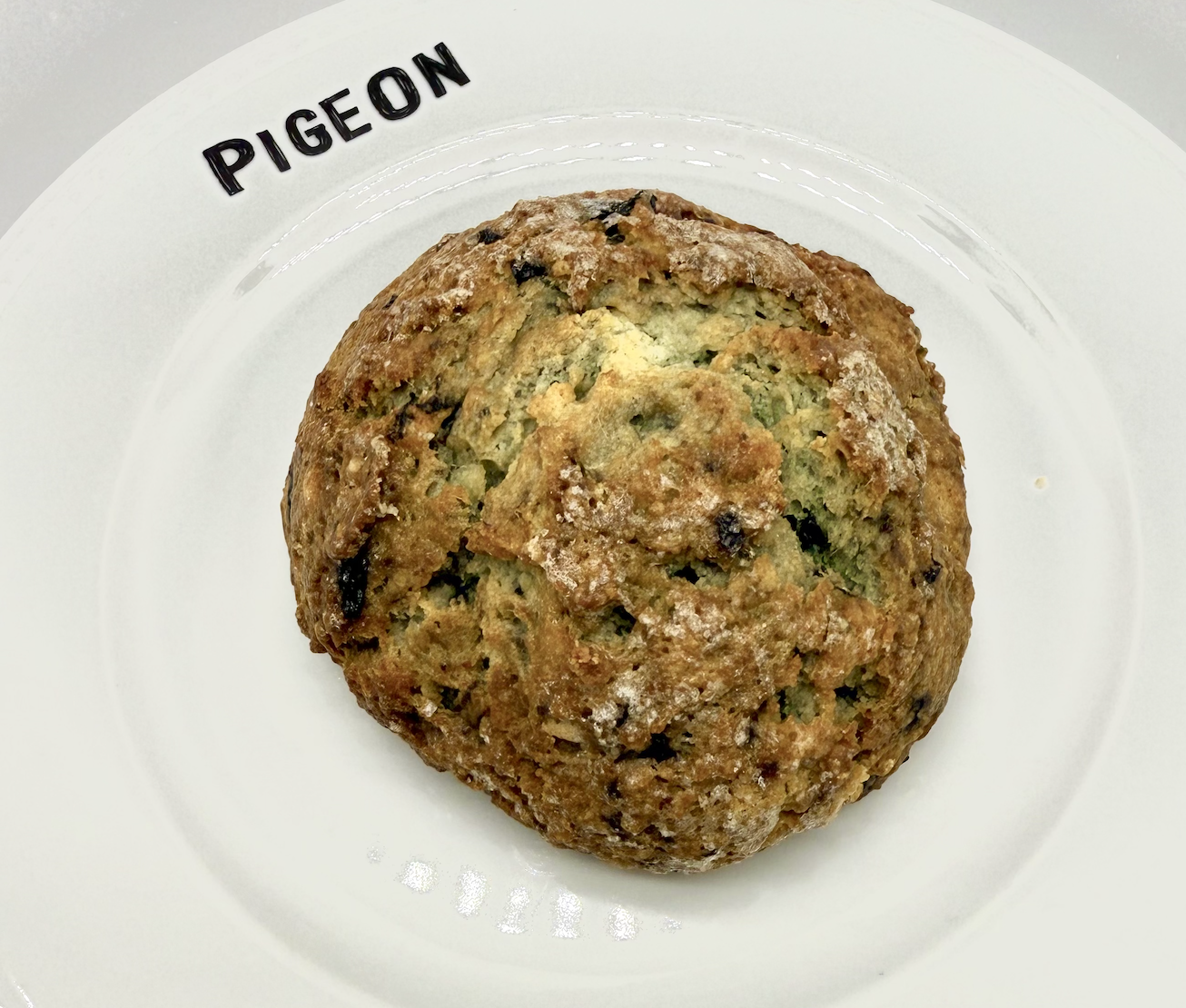 Wild Blueberry Scone