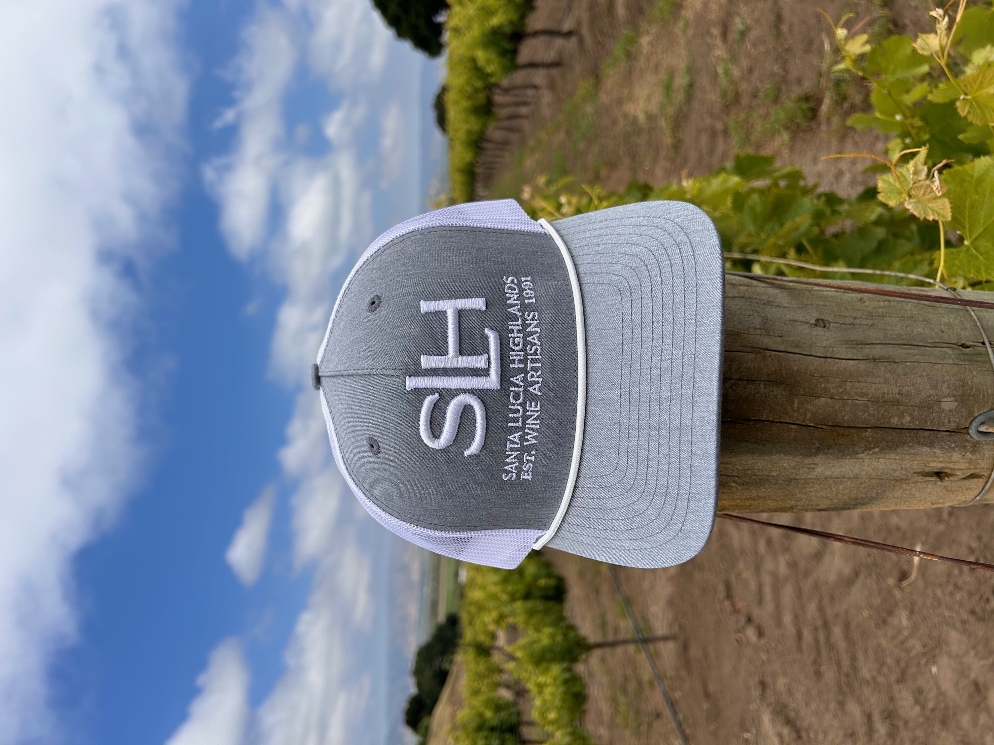 SLH 3D Emboss Carolina Blue/White Hat