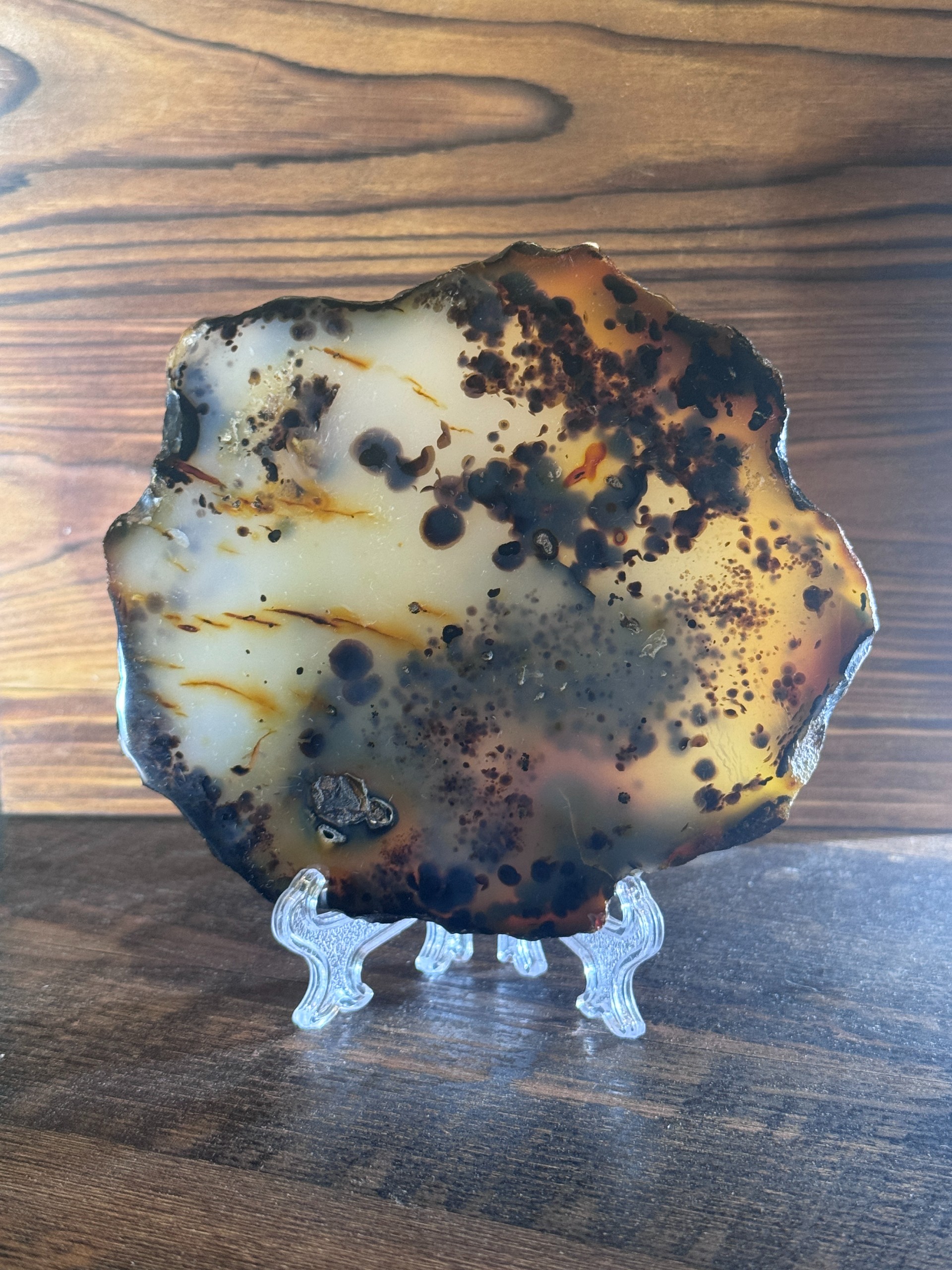 Dendritic Agate Freeform Slice