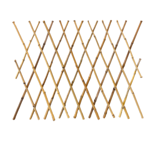 Bamboo Expanding Trellis