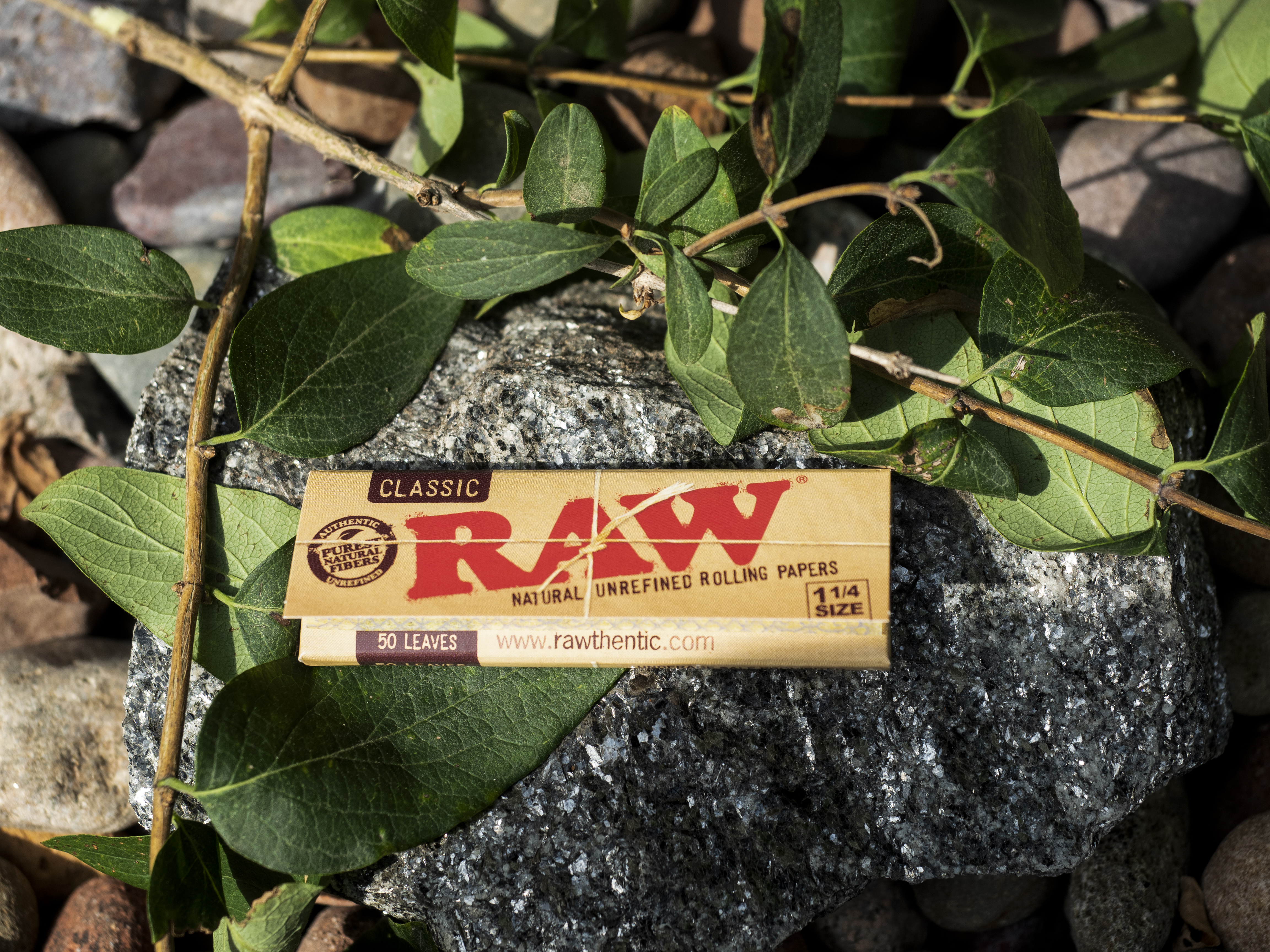 Raw Papers Single Pack - Regular