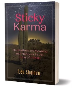 Lee Shainen/Sticky Karma: Meditations on Meaning & Madness in the Time of COVID