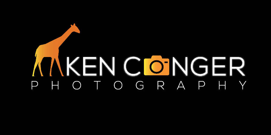 Wildlife Photography 101 Class