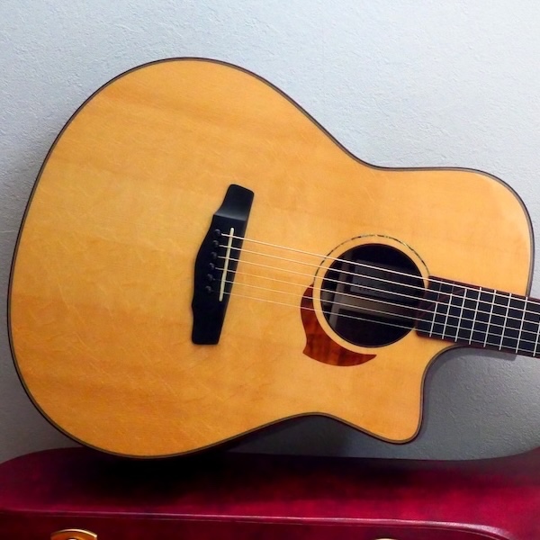 【USED】AR-GC #445 / German Spruce（Bear claw）& Camatillo used