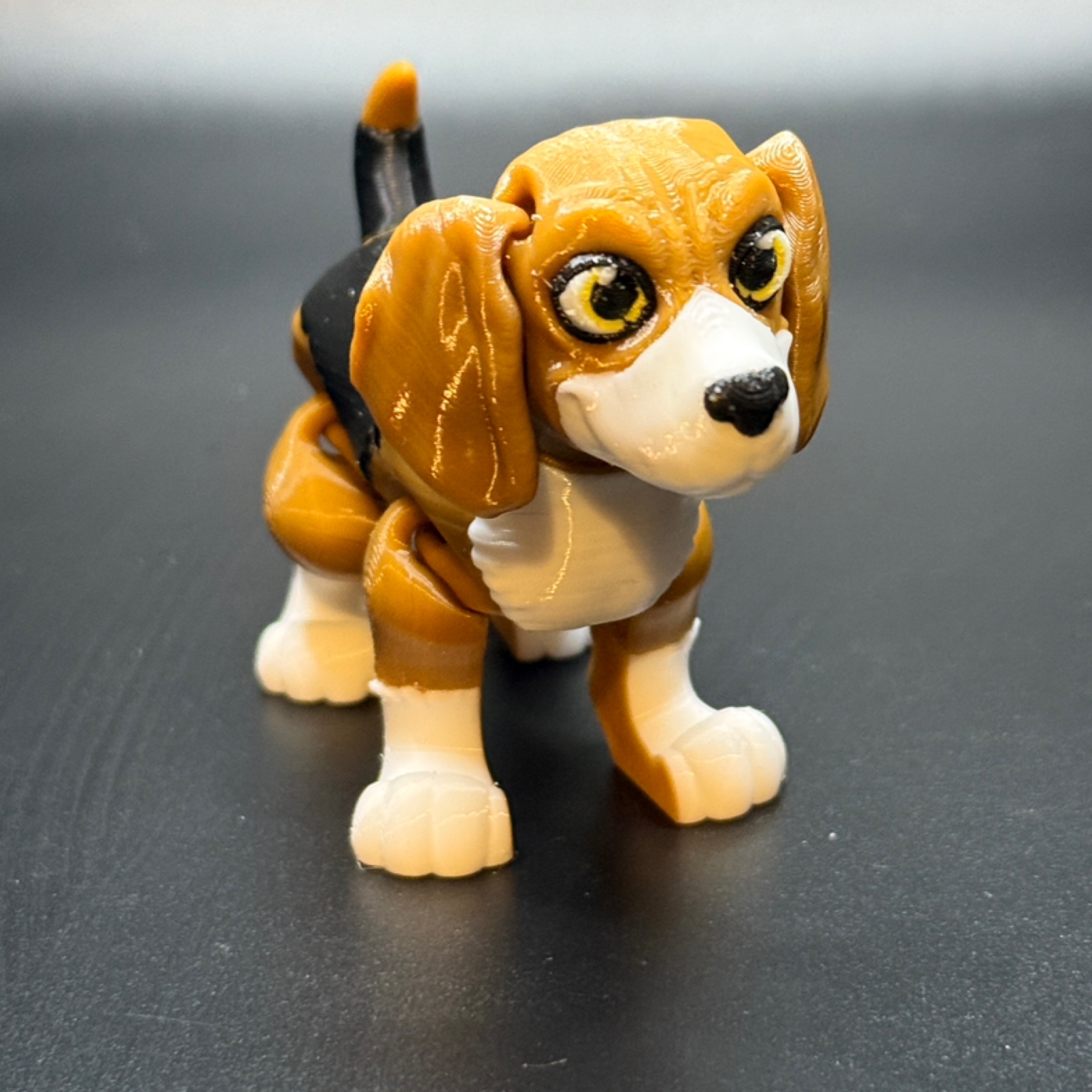 Beagle