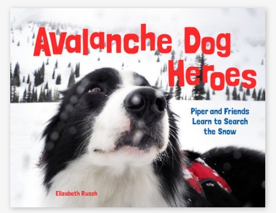 Avalanche Dog Heroes