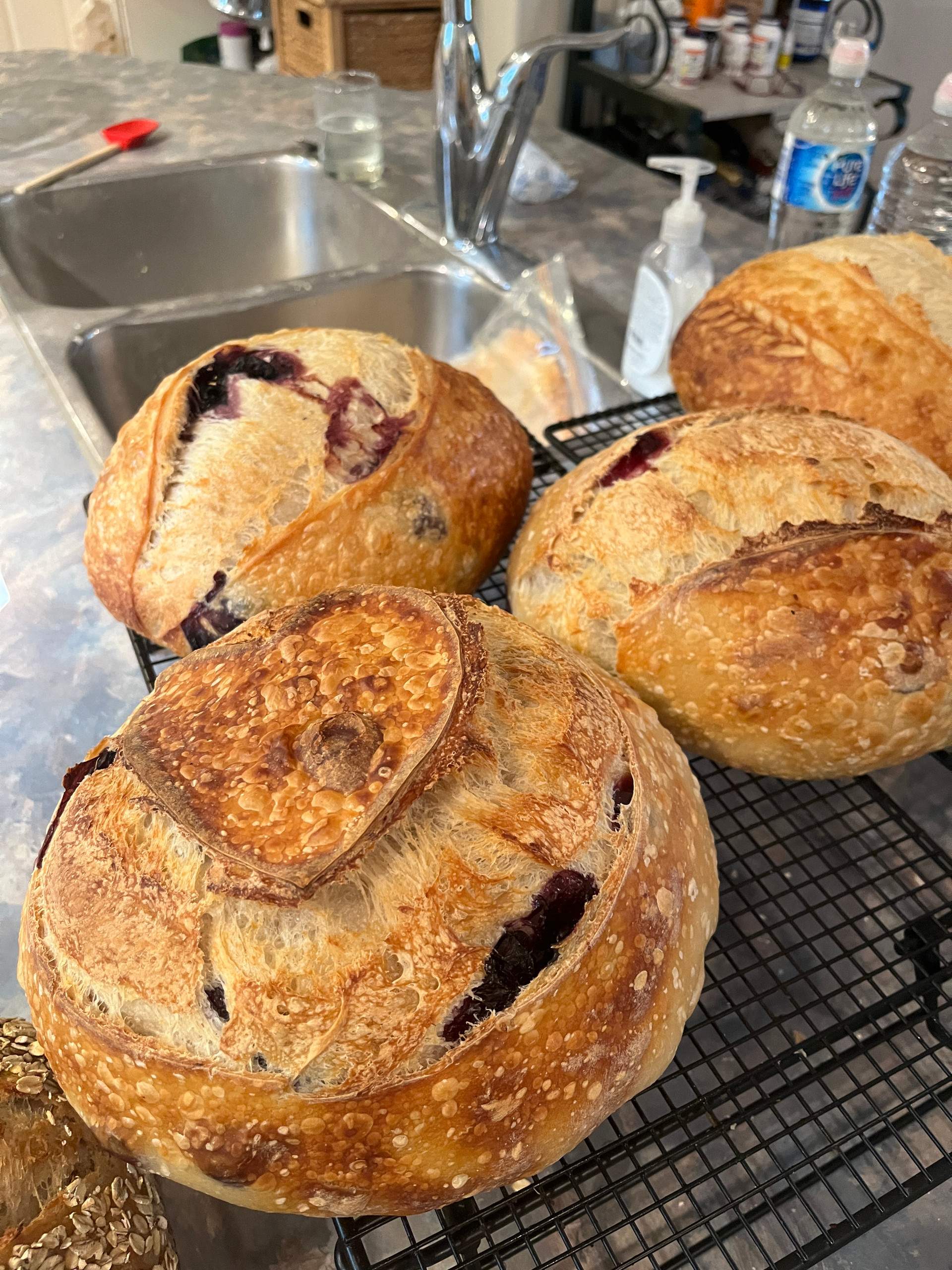 Photo of Sourdough Artisan Loaf - Blueberry Lemon