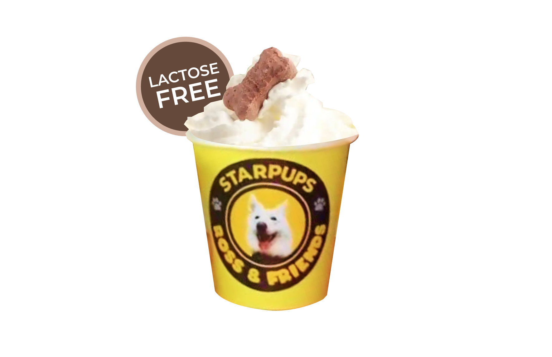 Puppuccino (Lactose Free)