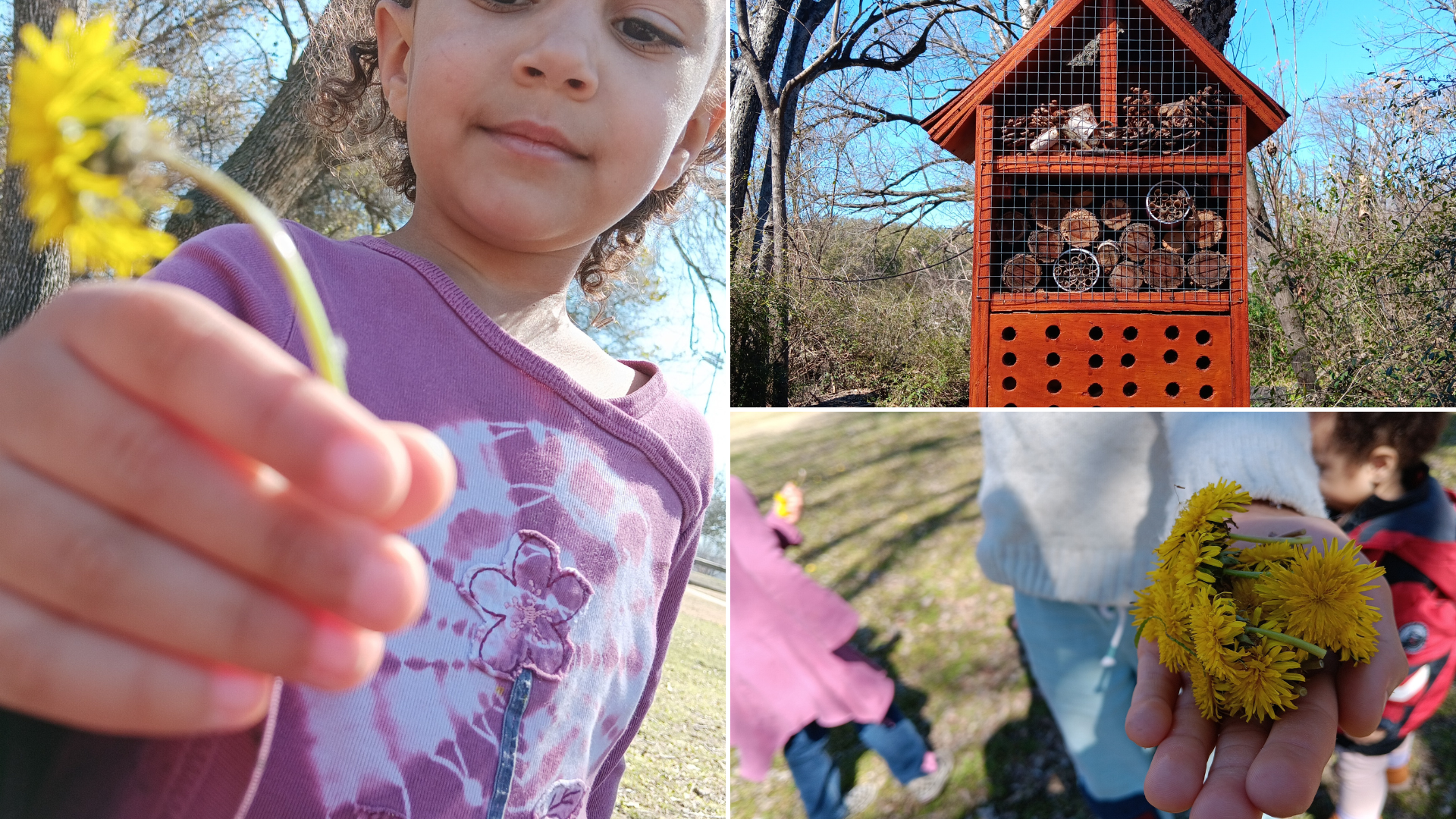 Thursdays (Boys & Girls ages 3-7) - Little Sandals Expedition Club
