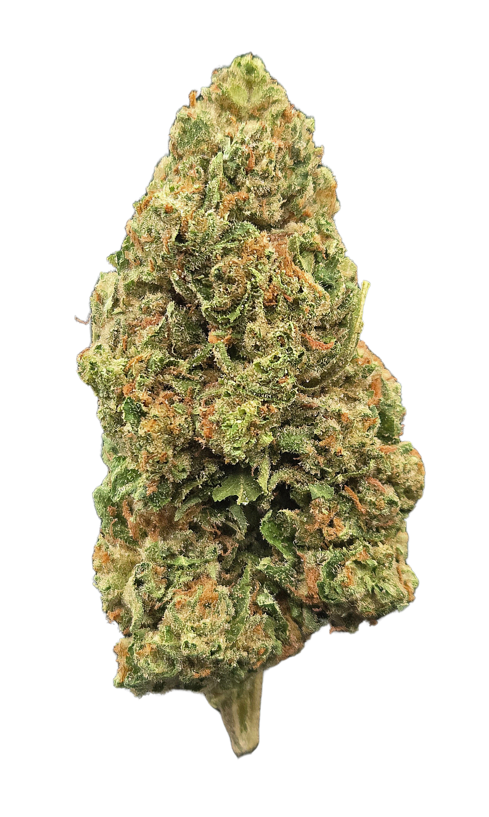 Couch Locked THCA - (Indica) - Bulk Flower