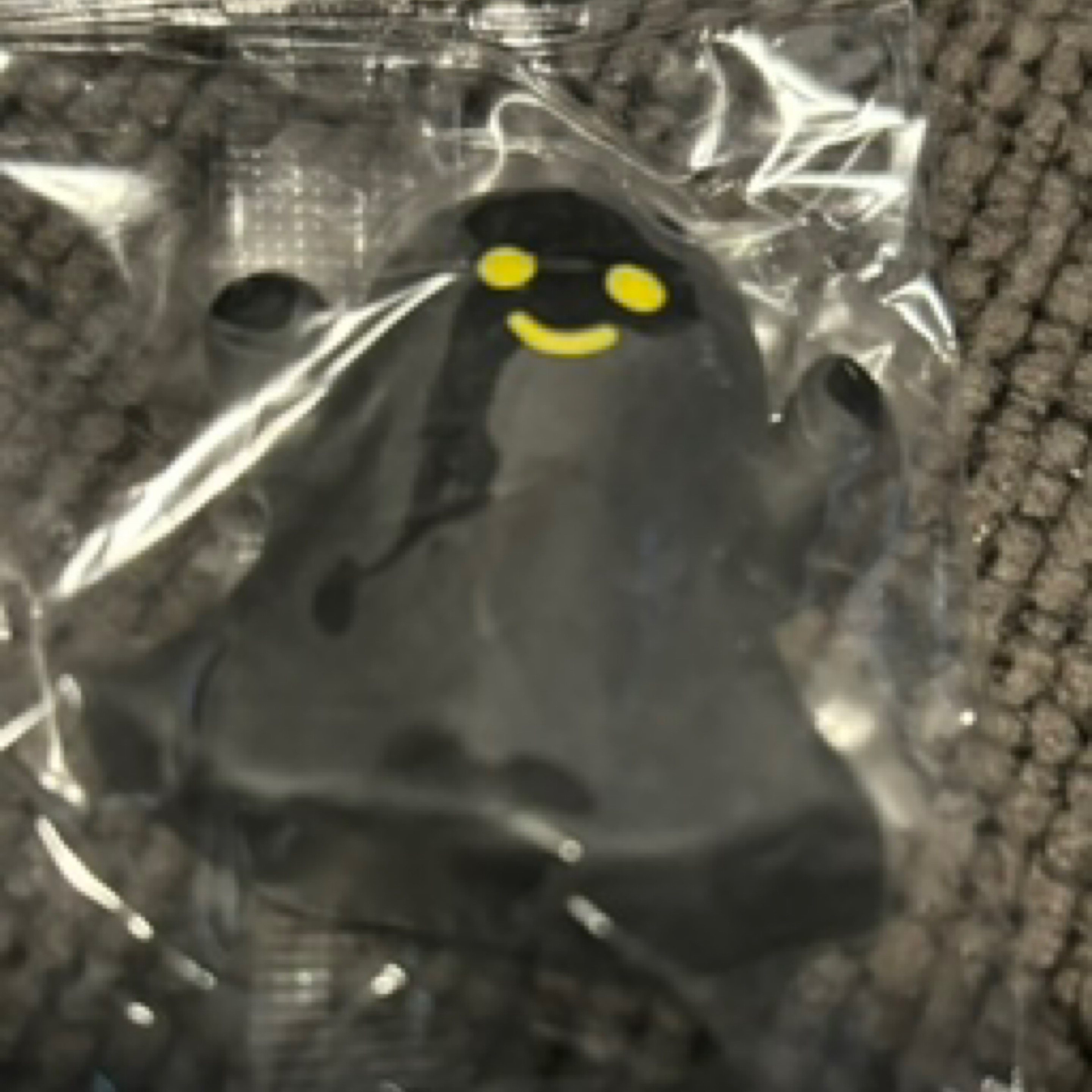 Mochi squishy