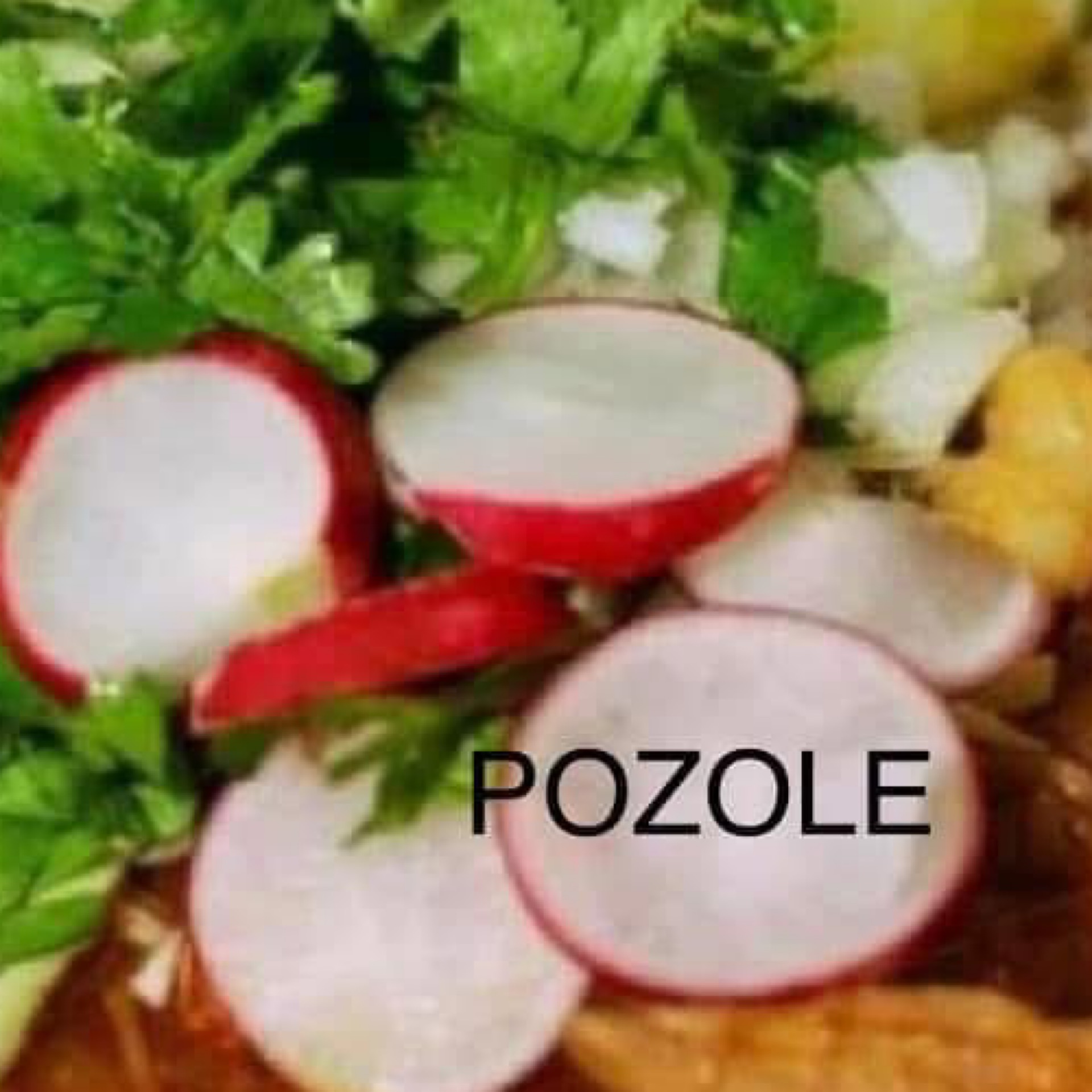 SOPAS (MENUDO) at Taqueria El Jalapeño Autentica comida Mexicana in Bethesda, MD 20814 | YourMenu® Online Ordering