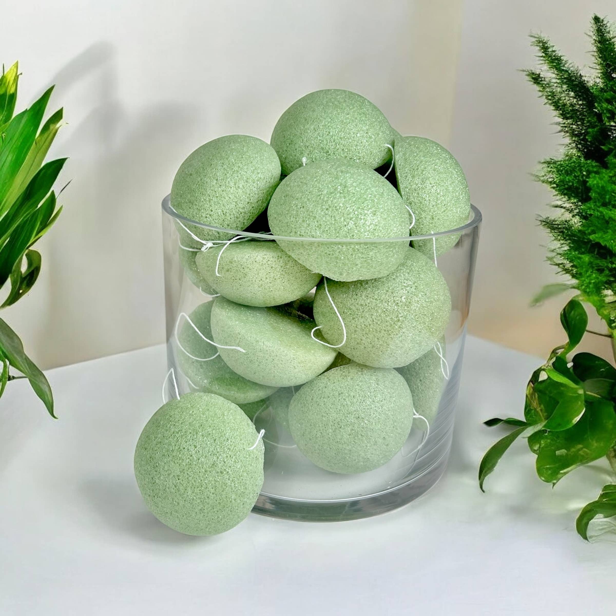 Natural Konjac Facial Cleansing Sponge | Seafoam Green