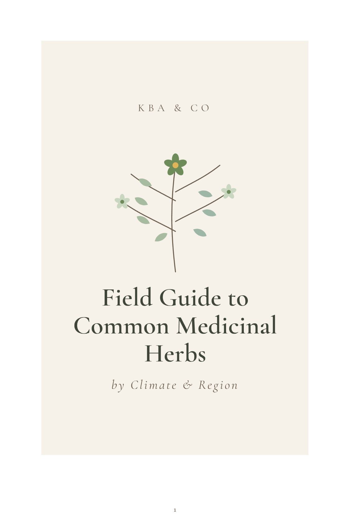 Field Guide to Common Medicinal Herbs