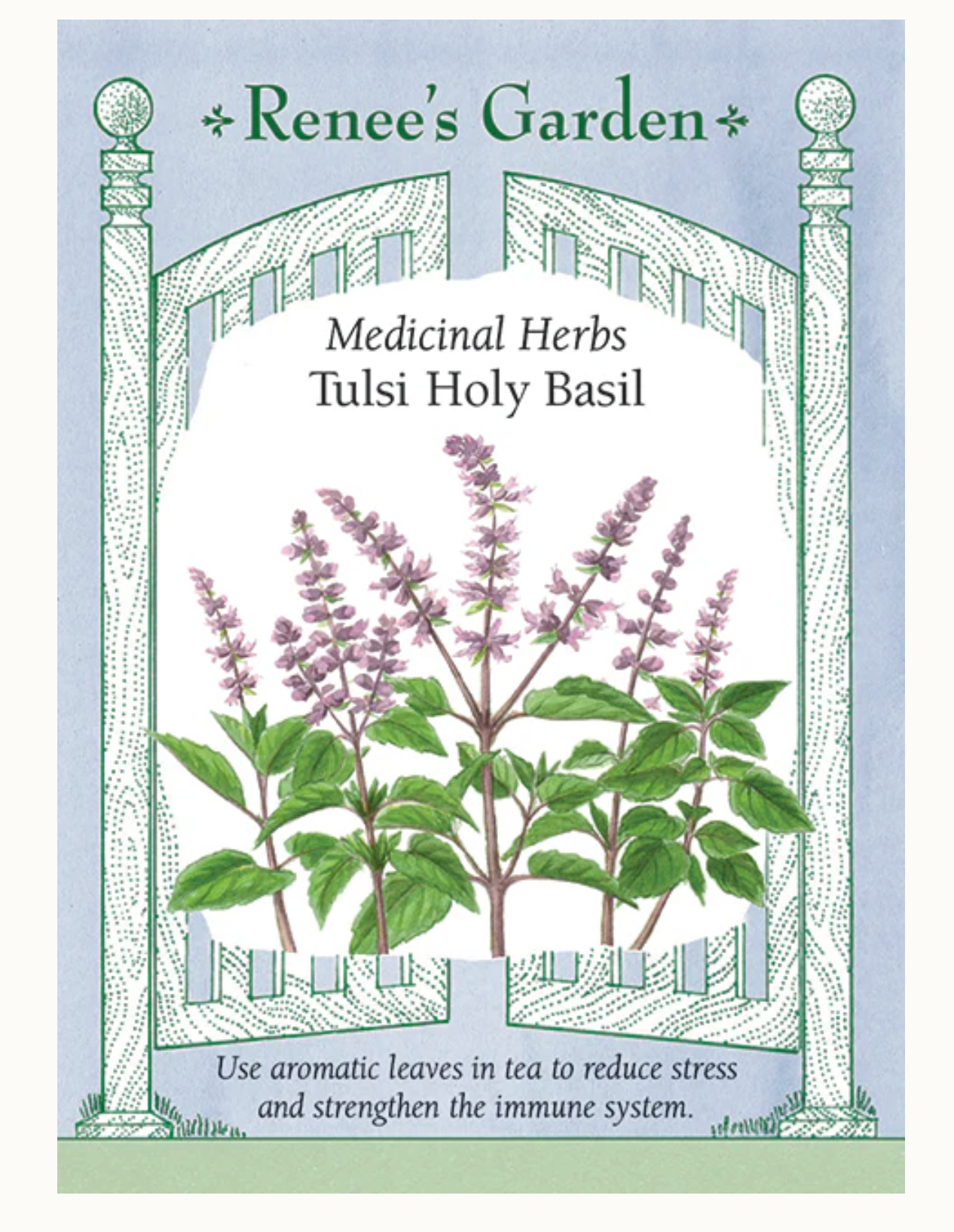 Renee's Garden | Medicinal Herbs Tulsi Holy Basil