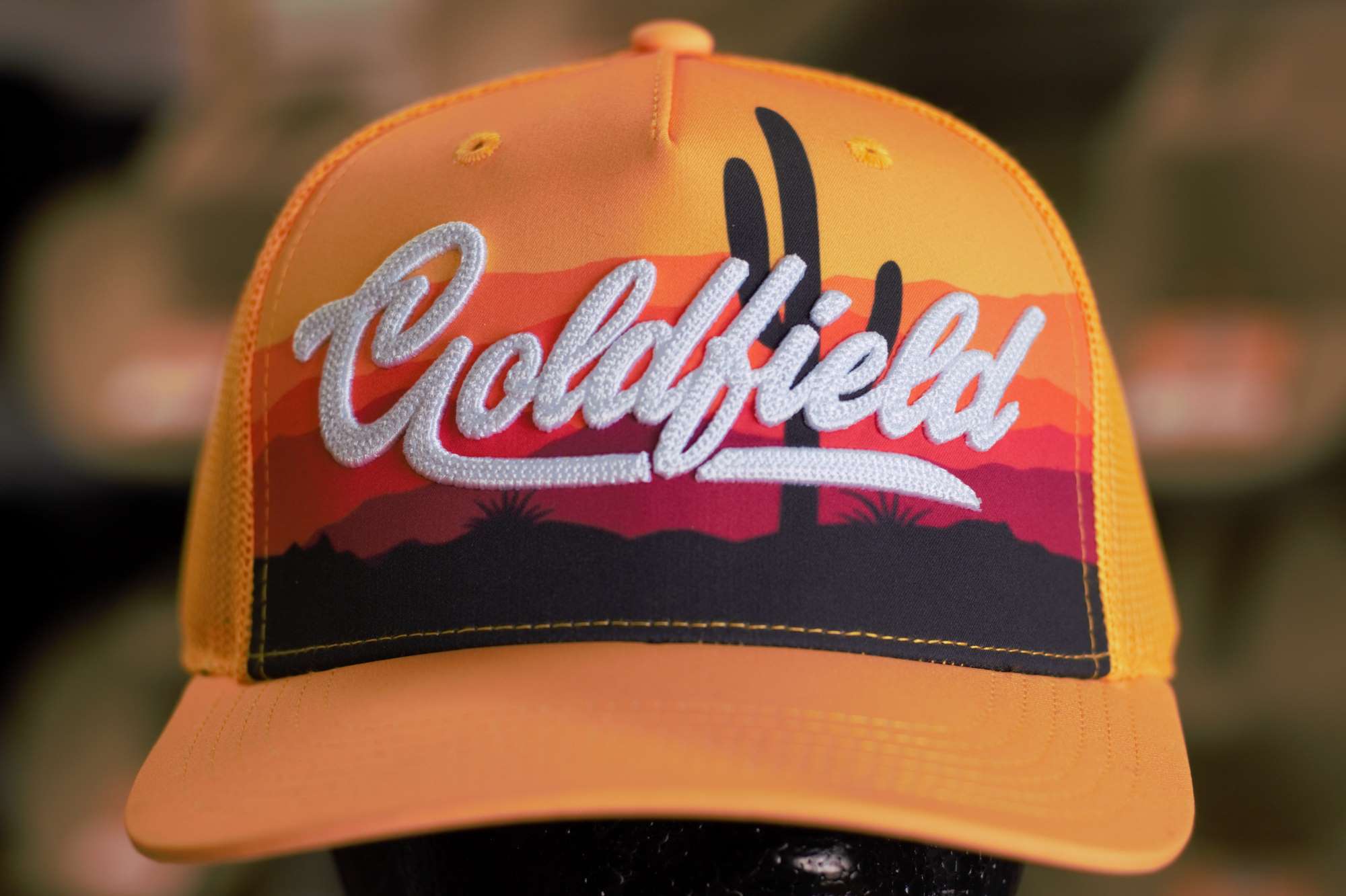 Cap-Gilbo-Goldfield AZ