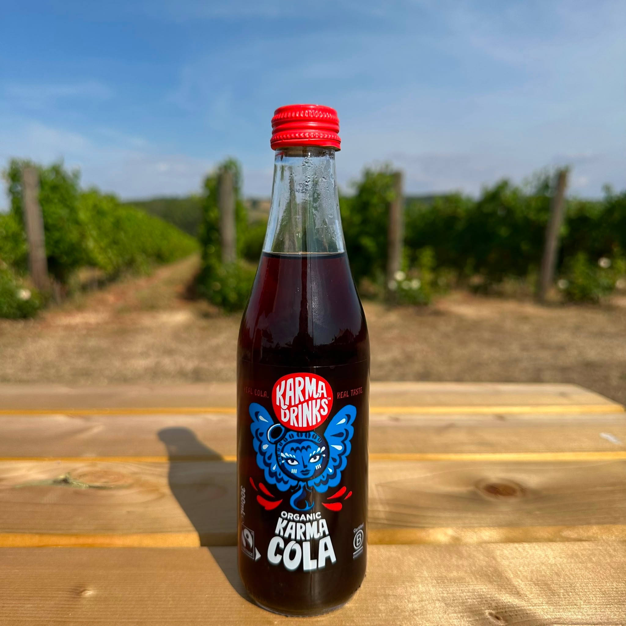 Karma Cola