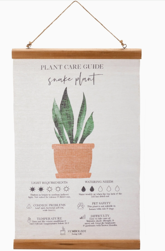 Plant Care Guide Wall Decor, Snake Plant
