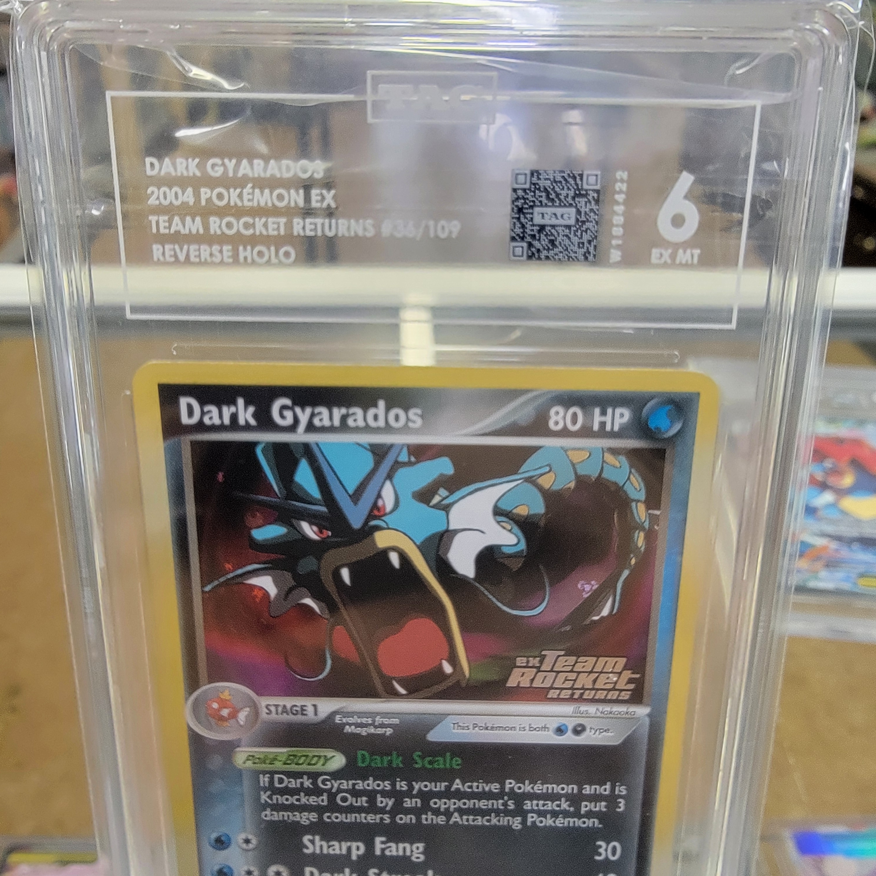 Tag 6 Gyarados Reverse Stamped Holo Graded Card