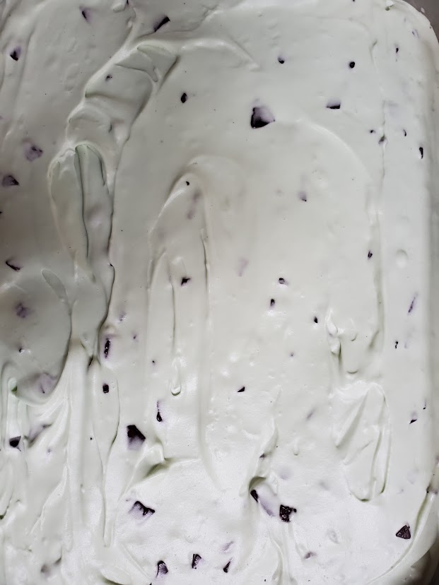 Mint Chocolate Chip Ice Cream Pint