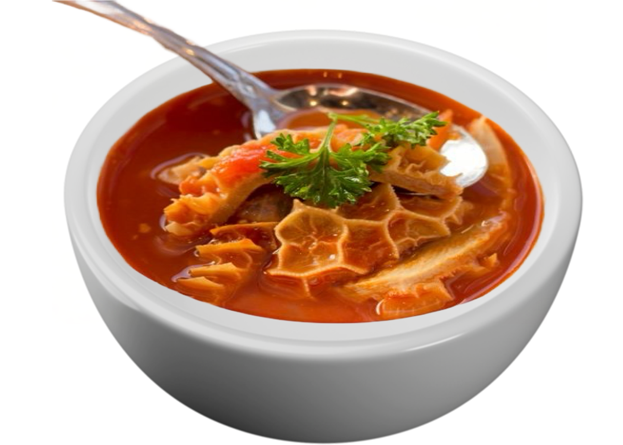 Pancita
