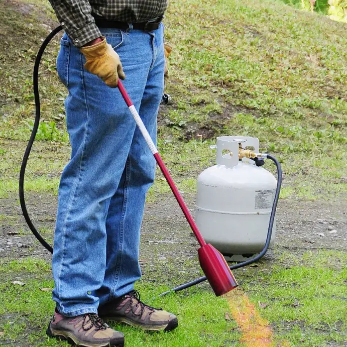 Torch Rental