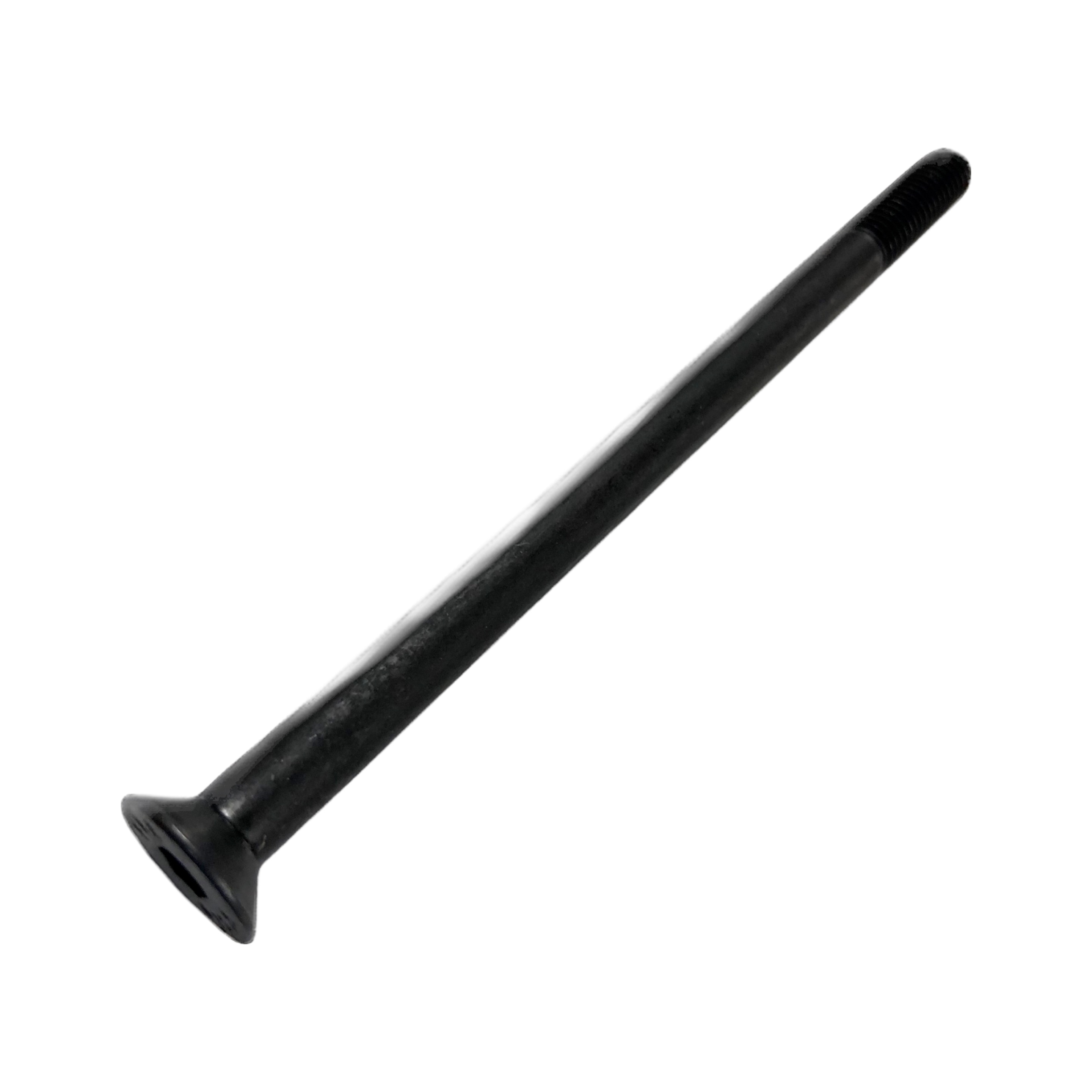 CSCS M6 x 100