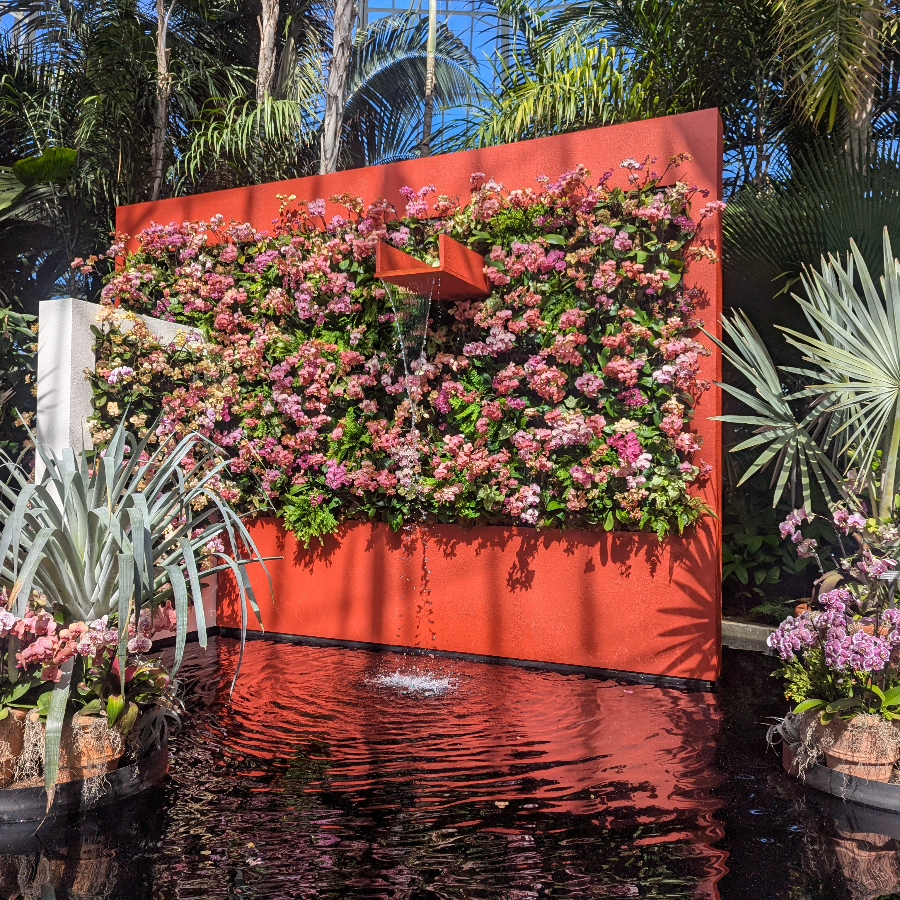 Family Lifetime Membership