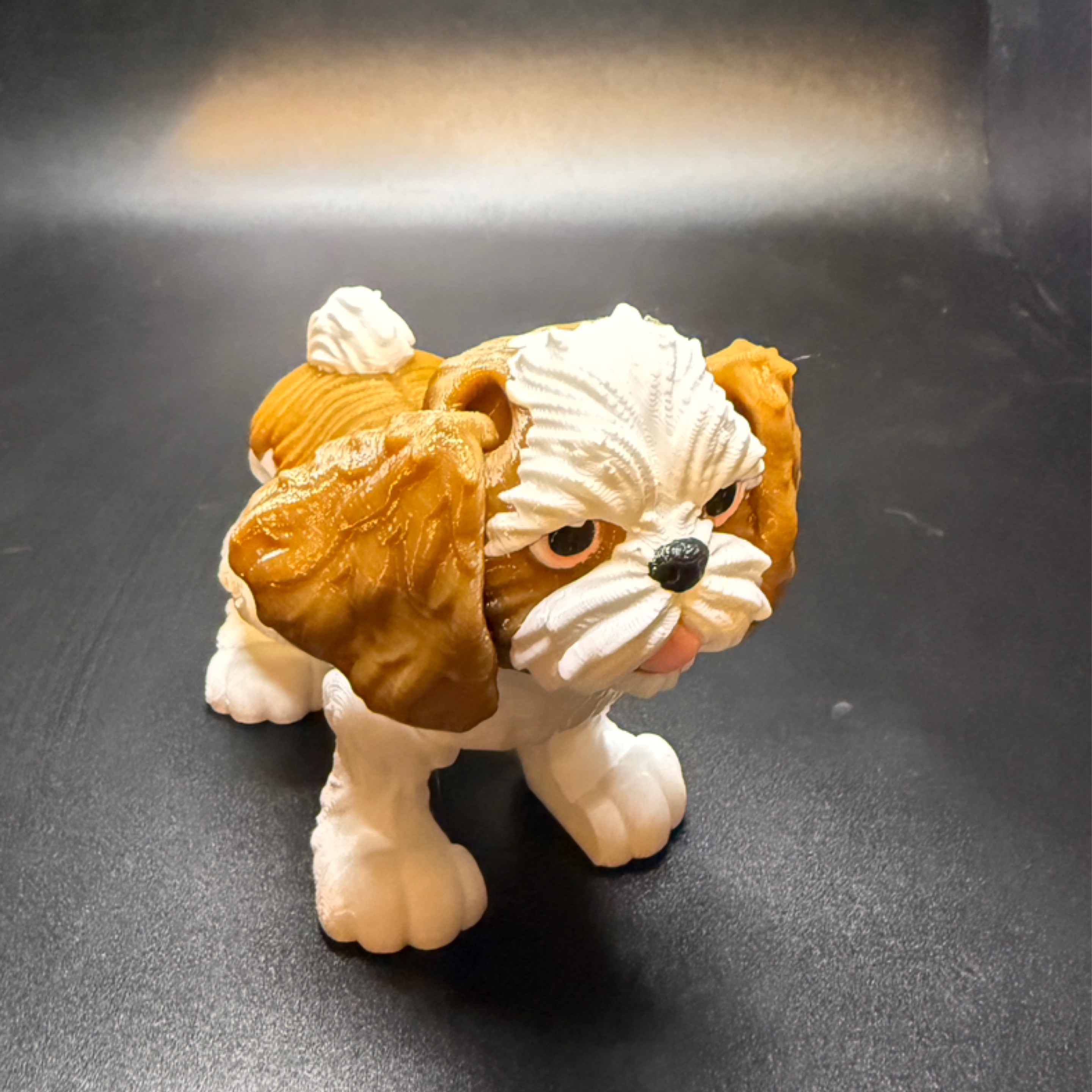 Shih tzu