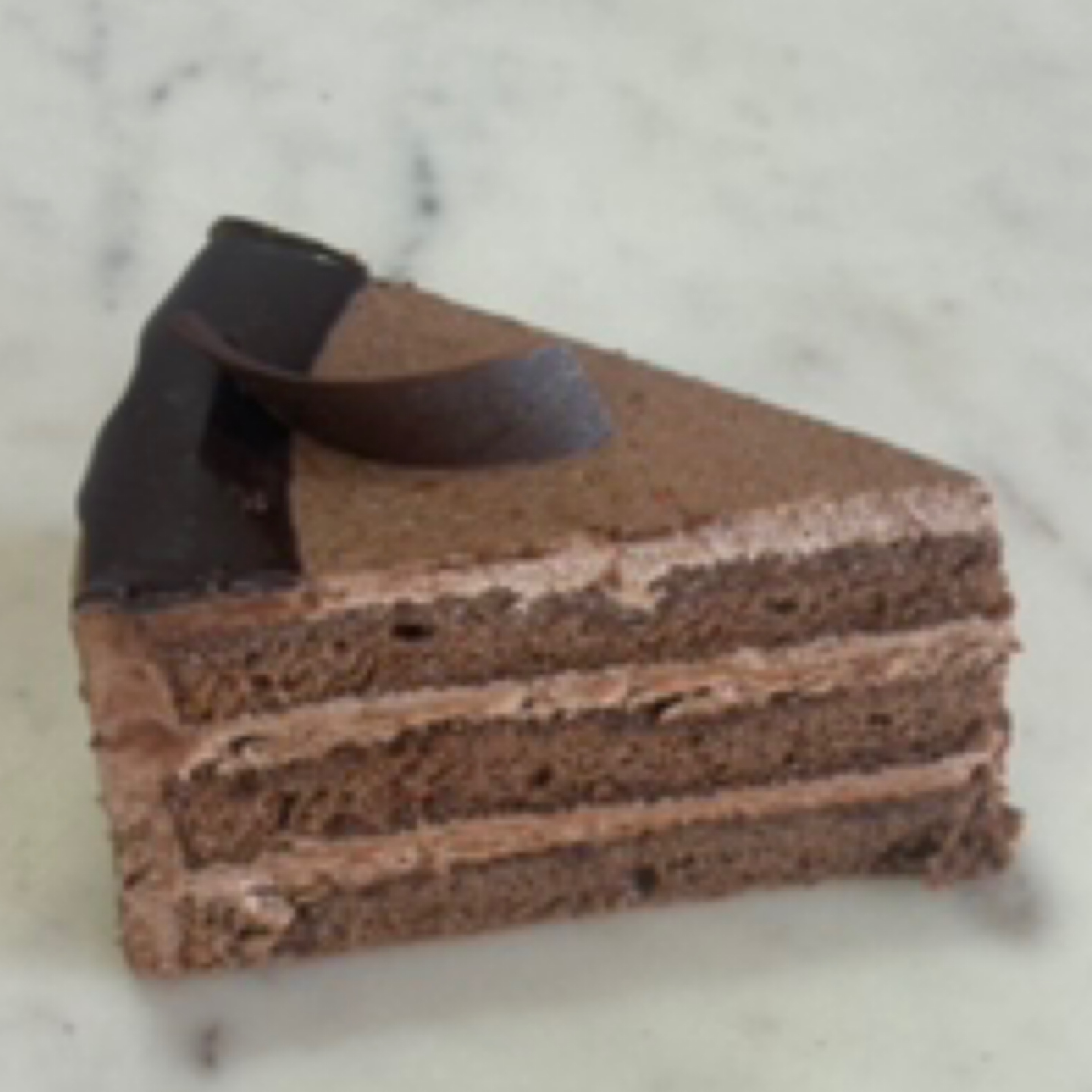 Chocolate cake slice