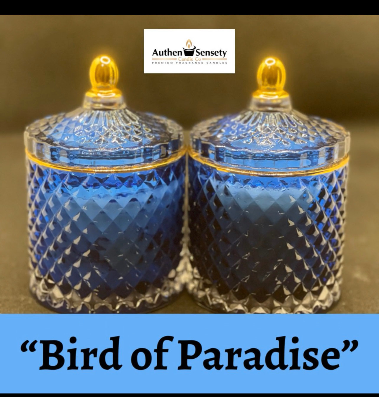 Blue Premium - "Bird of Paradise"
