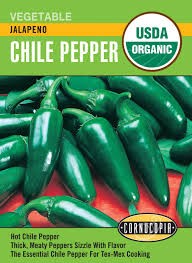 Jalapeno Chile Pepper Seed Pack, Organic