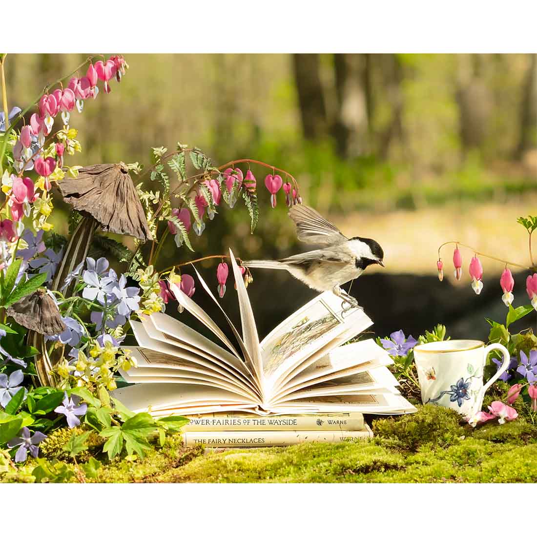 A Fairy Story Takes Flight