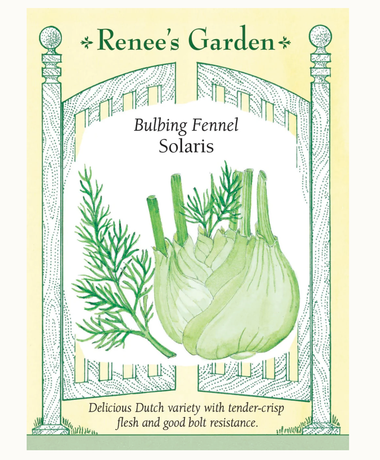 Renee's Garden | Bulbing Fennel Solaris