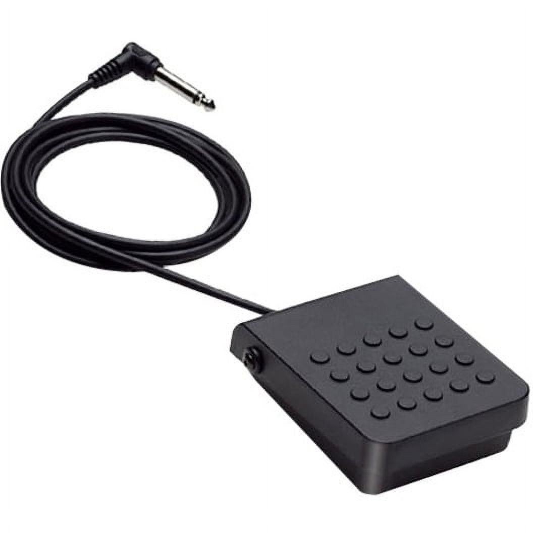 Casio Sp-3 Sustain Pedal