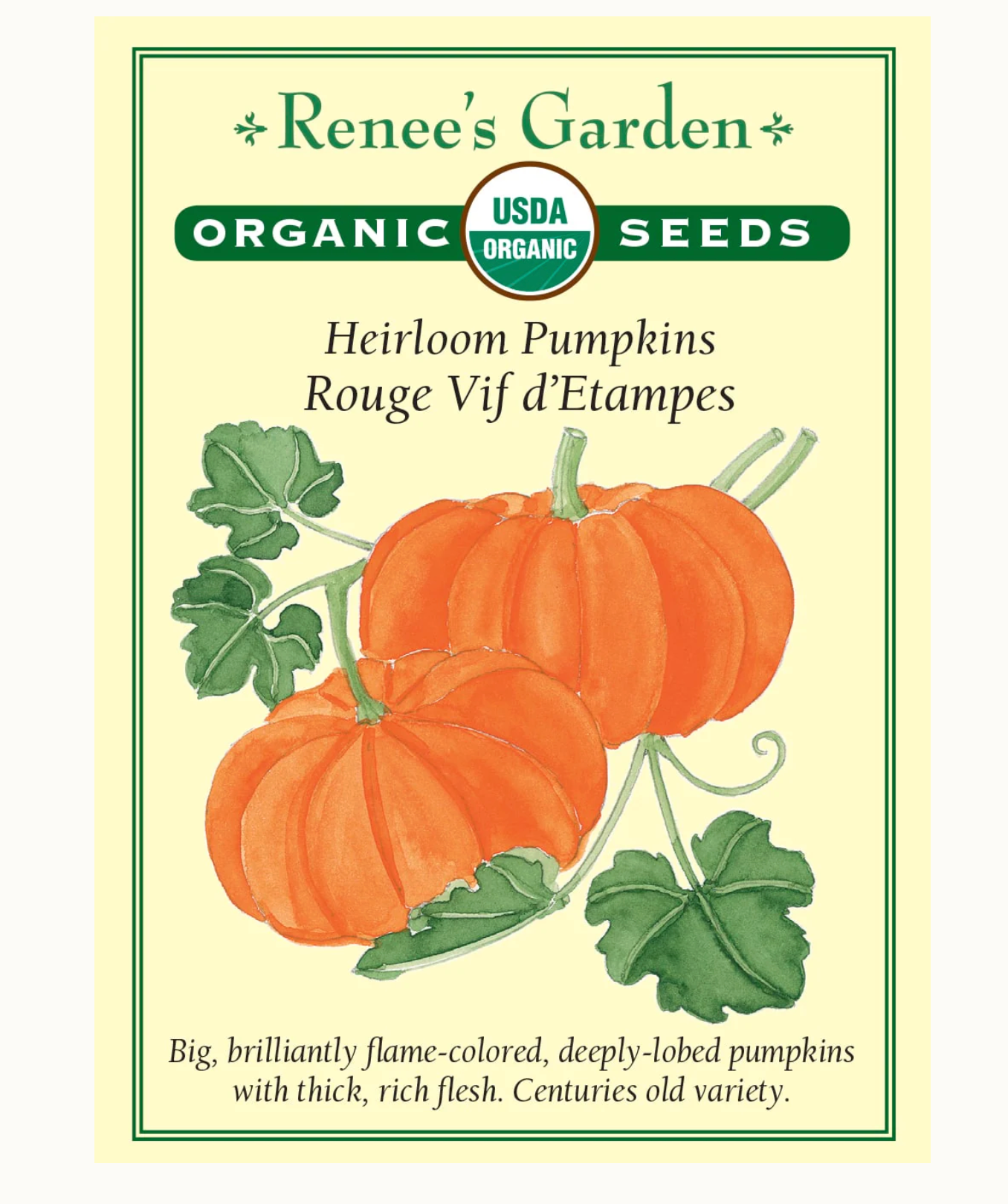 Renee's Garden | Heirloom Pumpkins Rouge Vif d'Etampes Organic