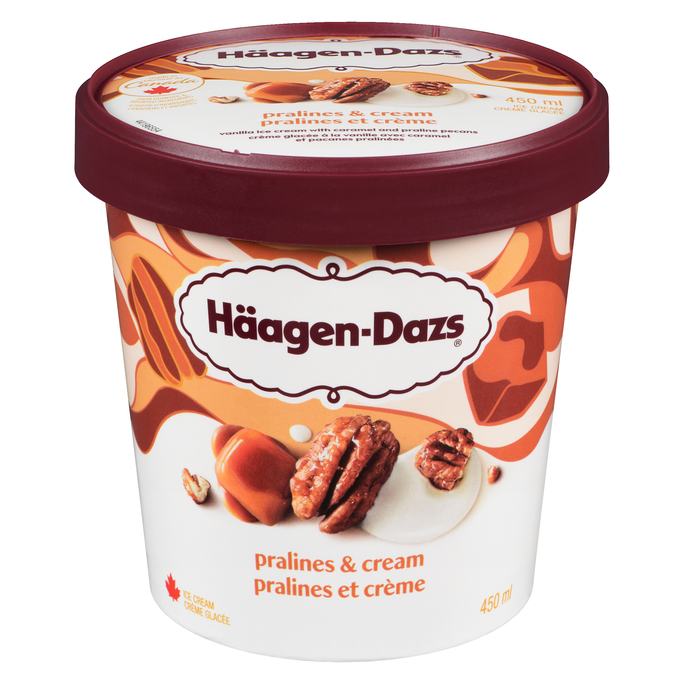 Haagen Dazs Pralines & Cream Ice Cream 450ml