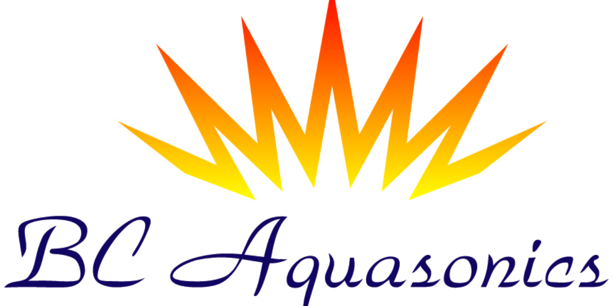 BCAQ Fundraising