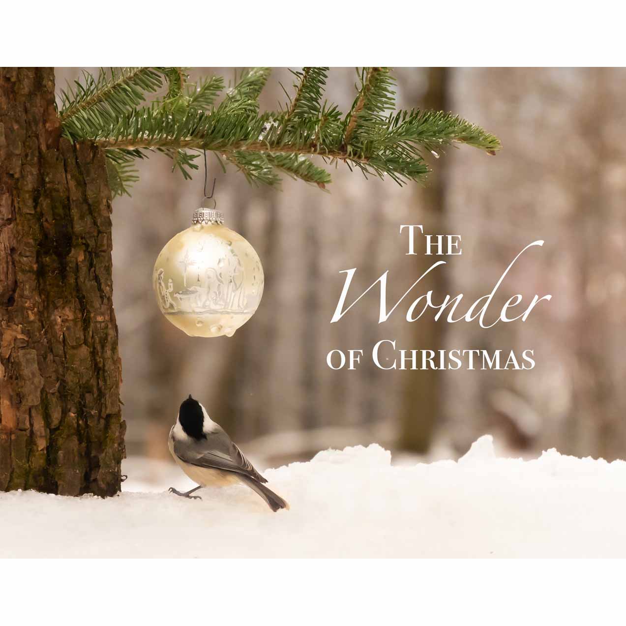 The Wonder of Christmas