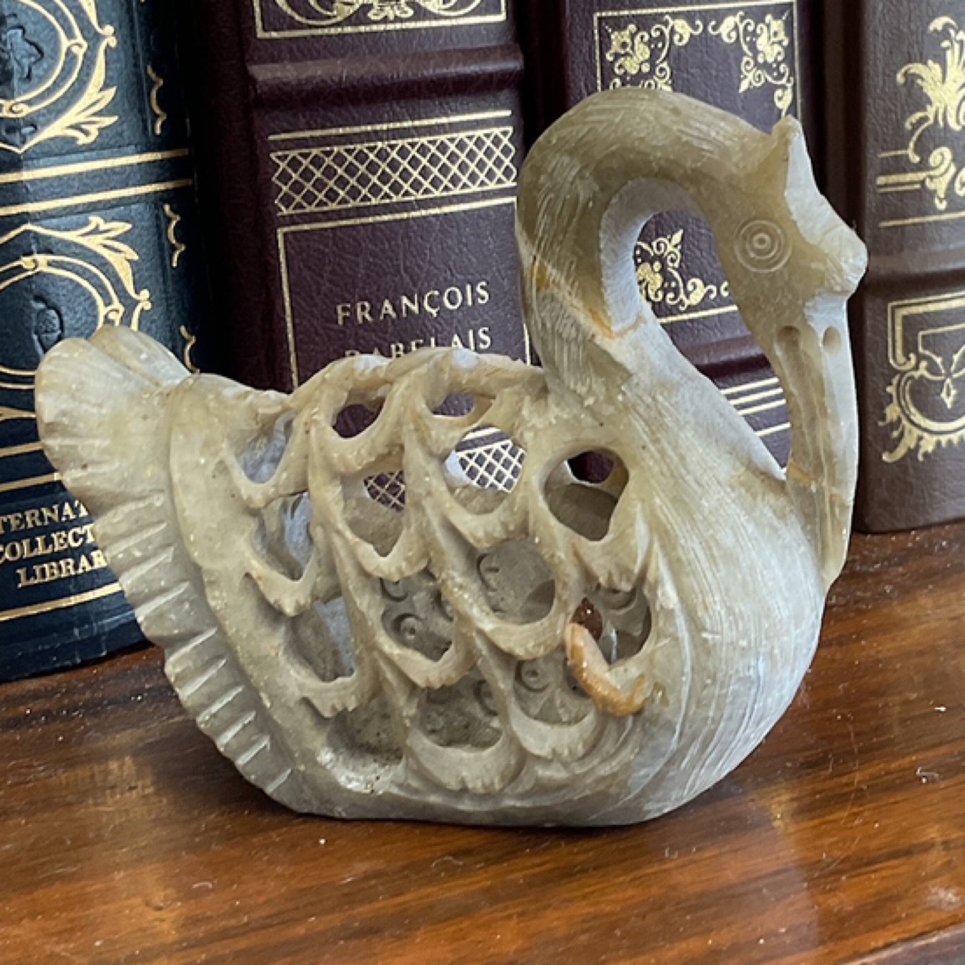 Gray Swan