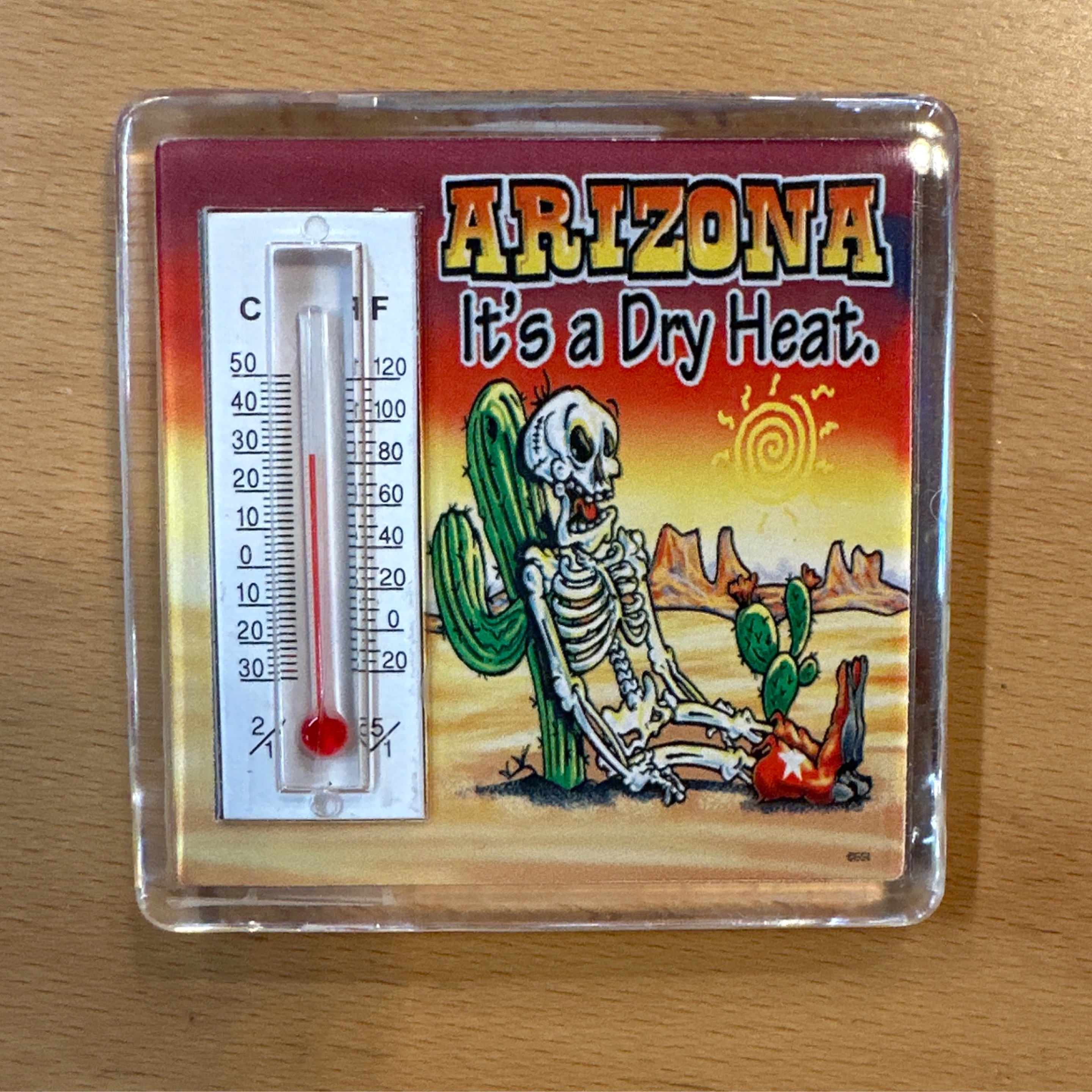 Mag - AZ Dry Heat Therm. (Skeleton w/ boots)