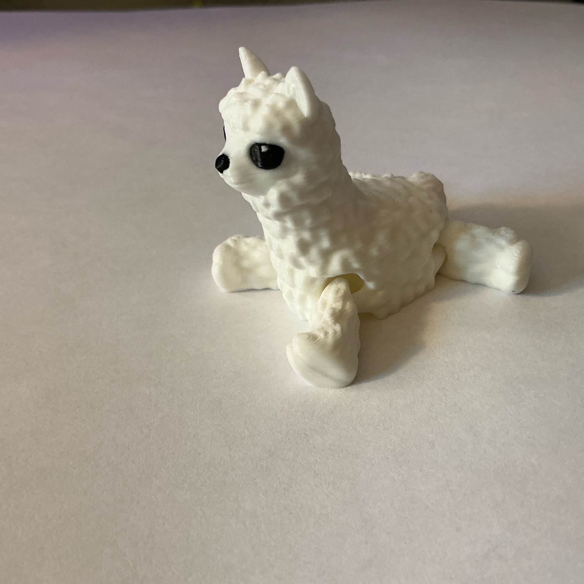 Mini Llama