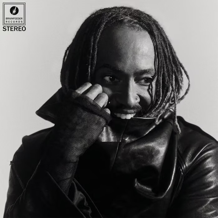 Thundercat - Distracted by Unknown Artist - View 1