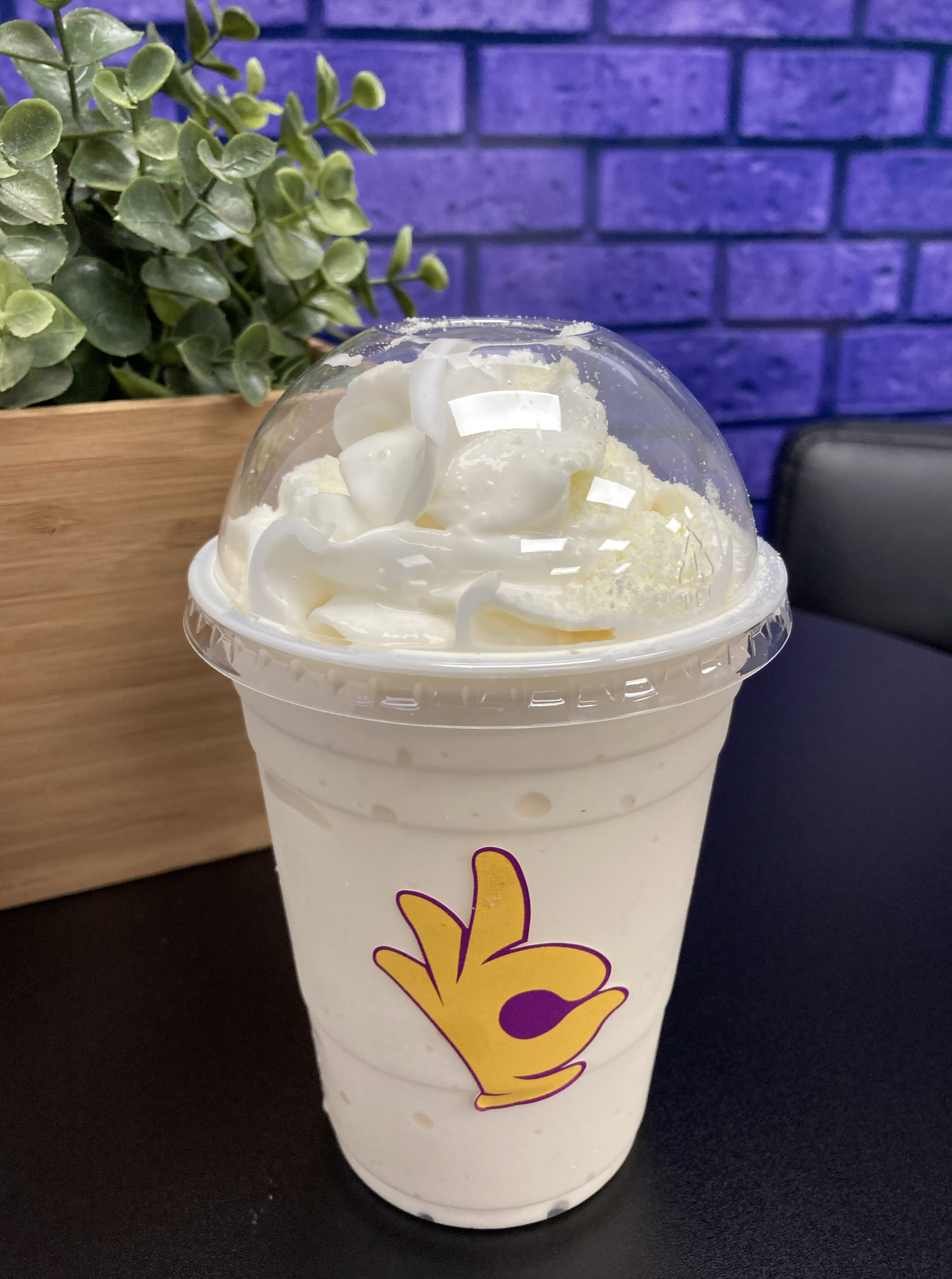 Powdered Milk Milkshake