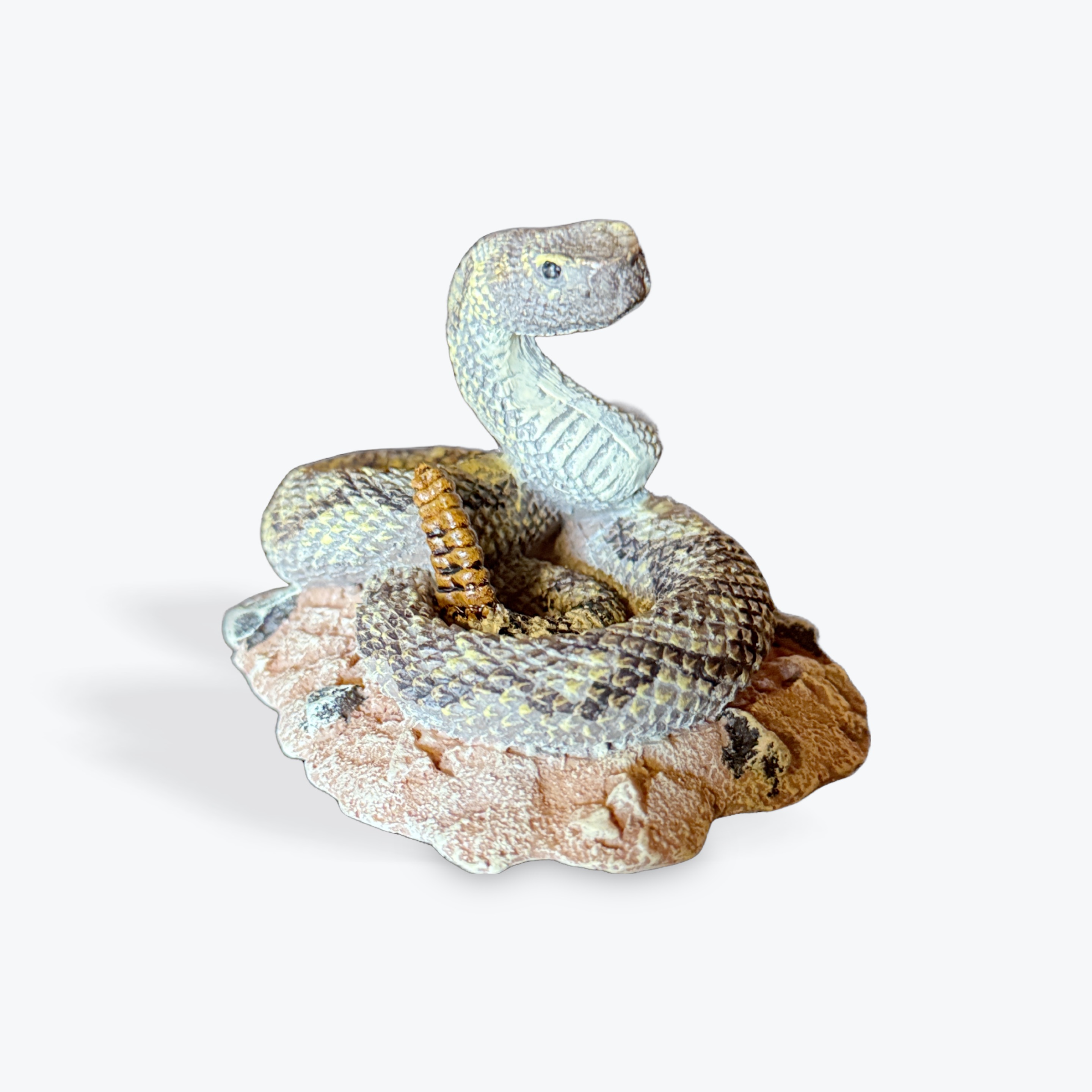 Medium Rattlesnake - Coiled