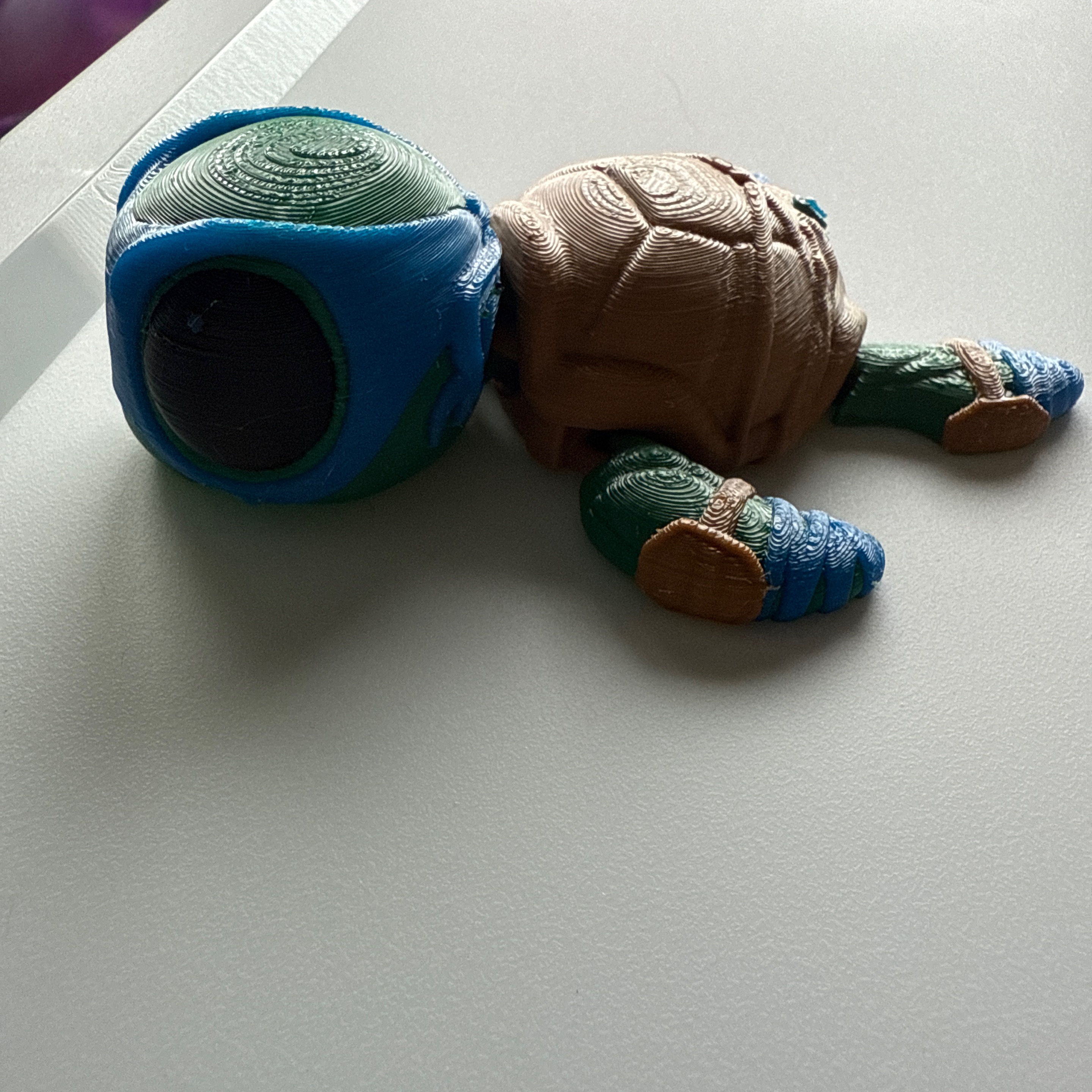 Blue Ninja Turtle