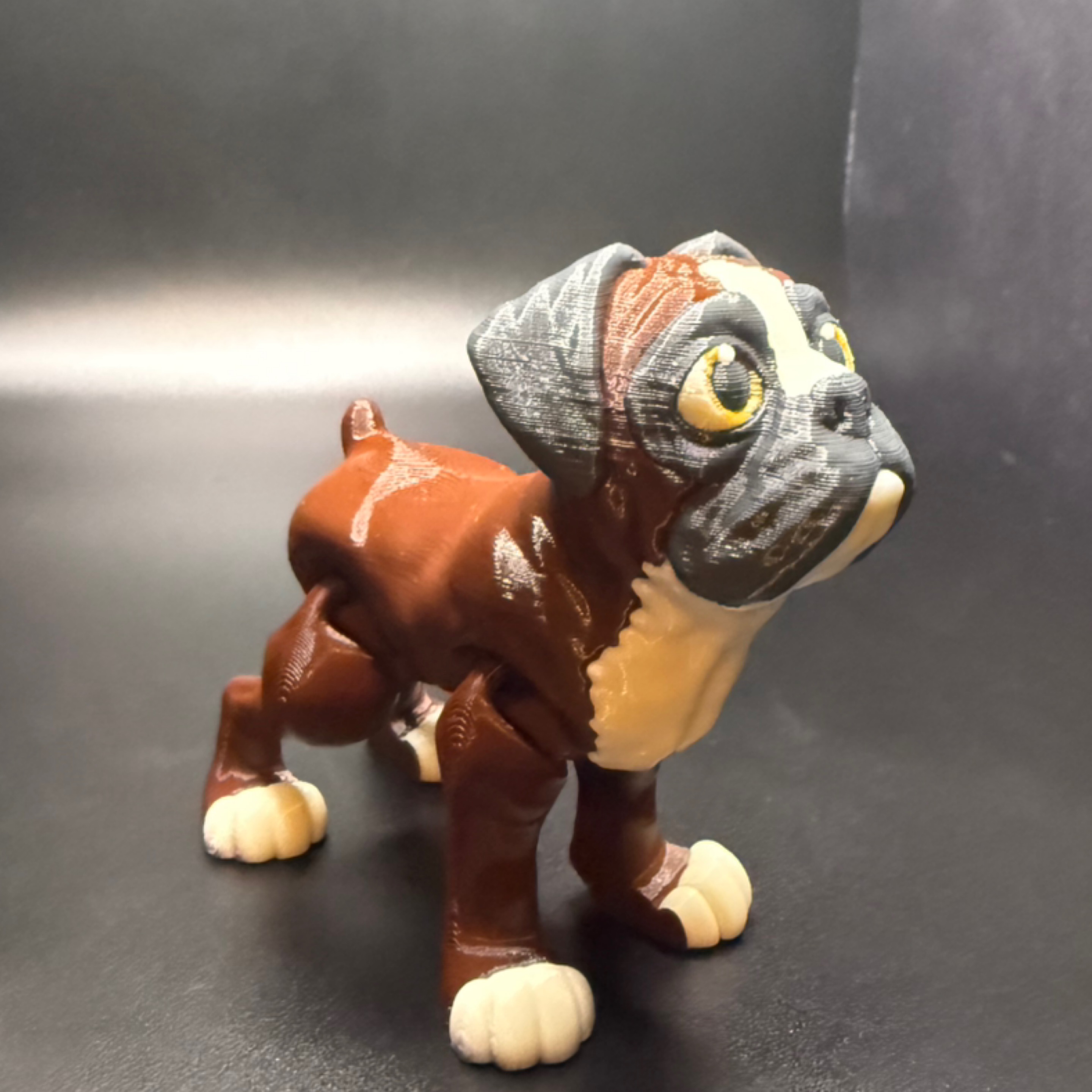 Boxer