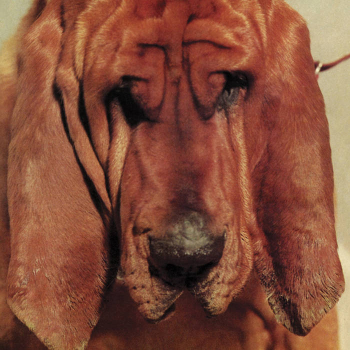 Ty Segall - Goodbye Bread by Unknown Artist - View 1